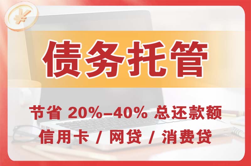 龙子湖债务托管